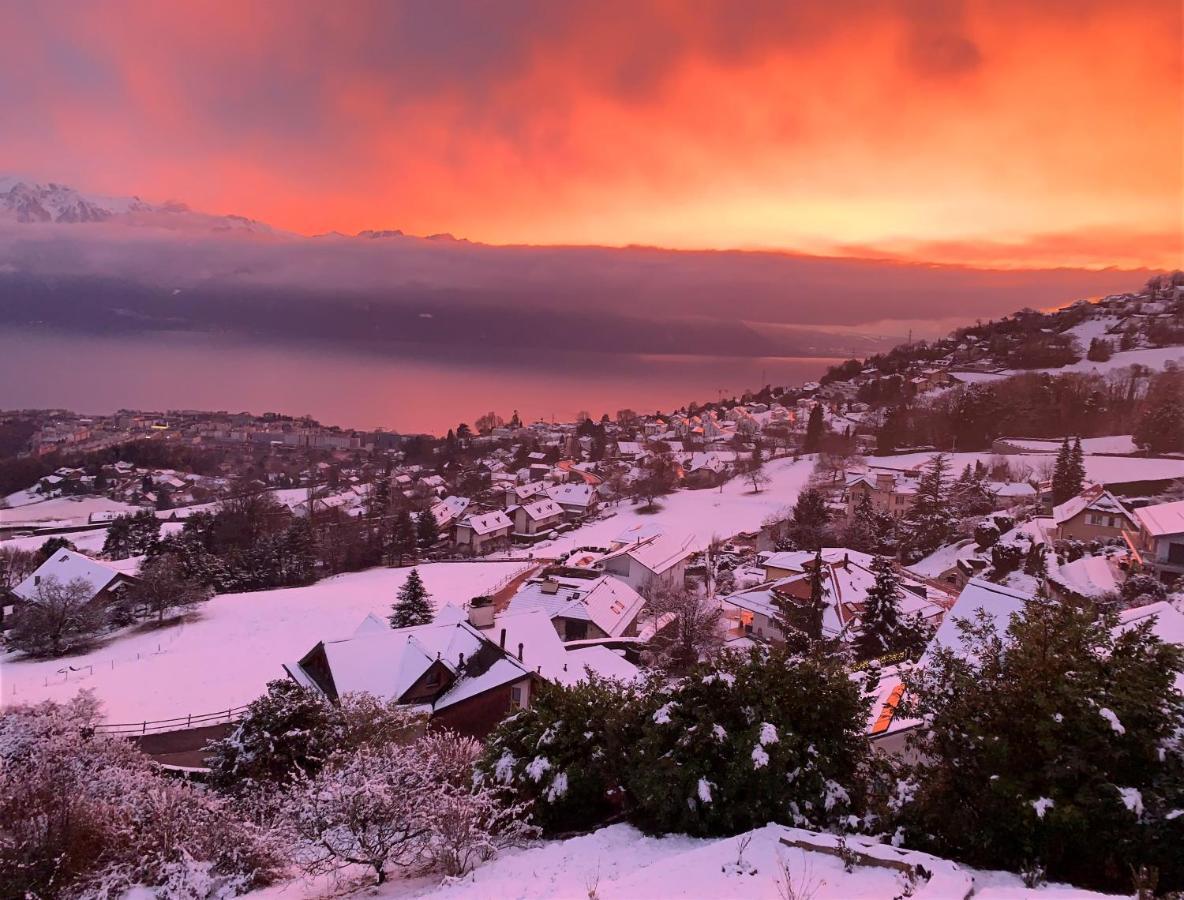 Appartement Moderne Avec Vue Panoramique A Jongny Proche De Montreux エクステリア 写真