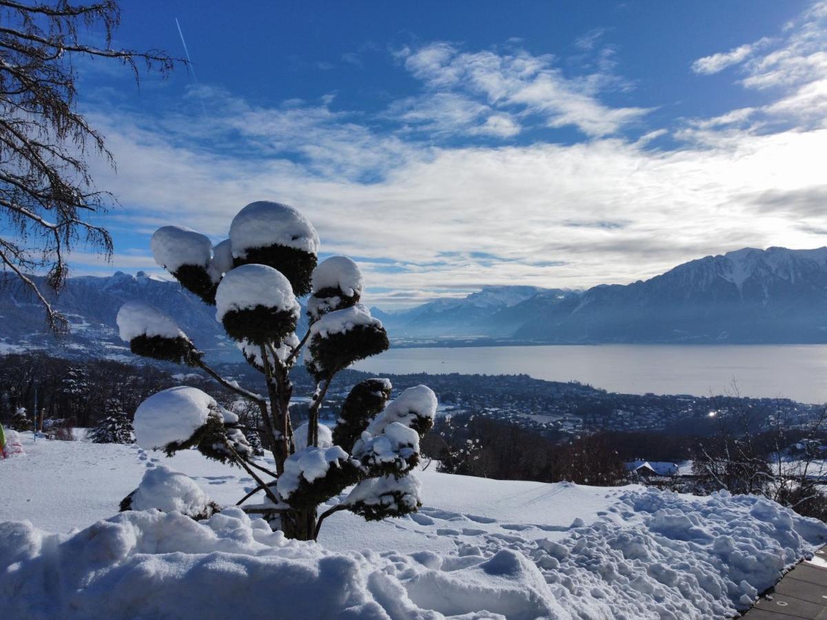 Appartement Moderne Avec Vue Panoramique A Jongny Proche De Montreux エクステリア 写真
