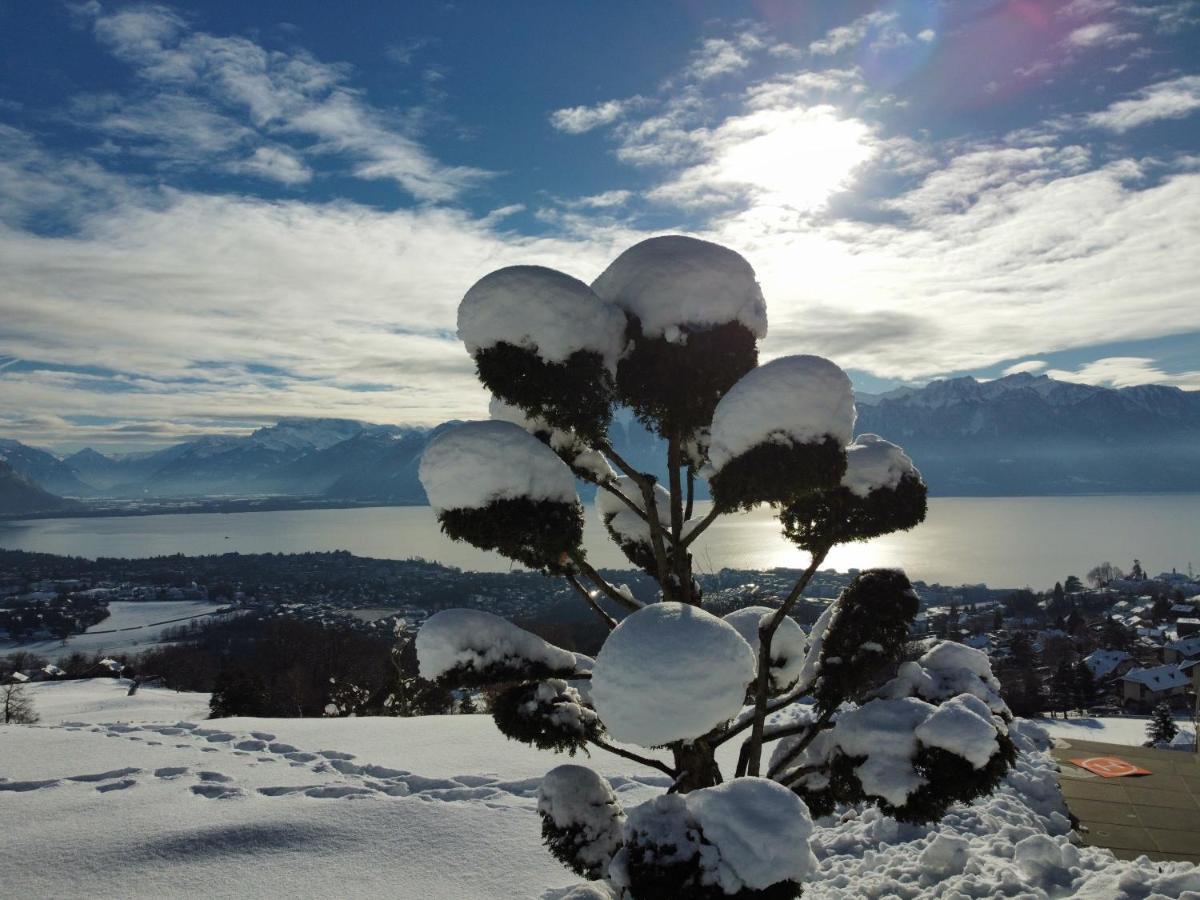 Appartement Moderne Avec Vue Panoramique A Jongny Proche De Montreux エクステリア 写真