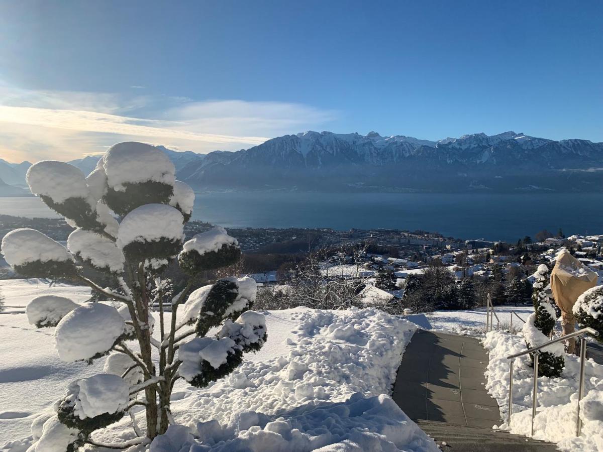 Appartement Moderne Avec Vue Panoramique A Jongny Proche De Montreux エクステリア 写真
