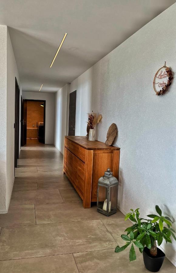 Appartement Moderne Avec Vue Panoramique A Jongny Proche De Montreux エクステリア 写真